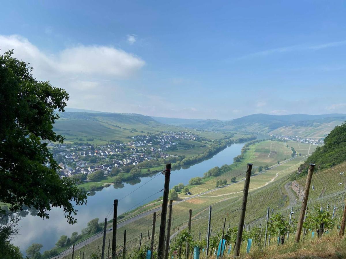 Ferienwohnung Neu!!! Moselbleibe Winzerhaus Kues Bernkastel-Kues Exterior foto